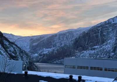Første systemer på nett